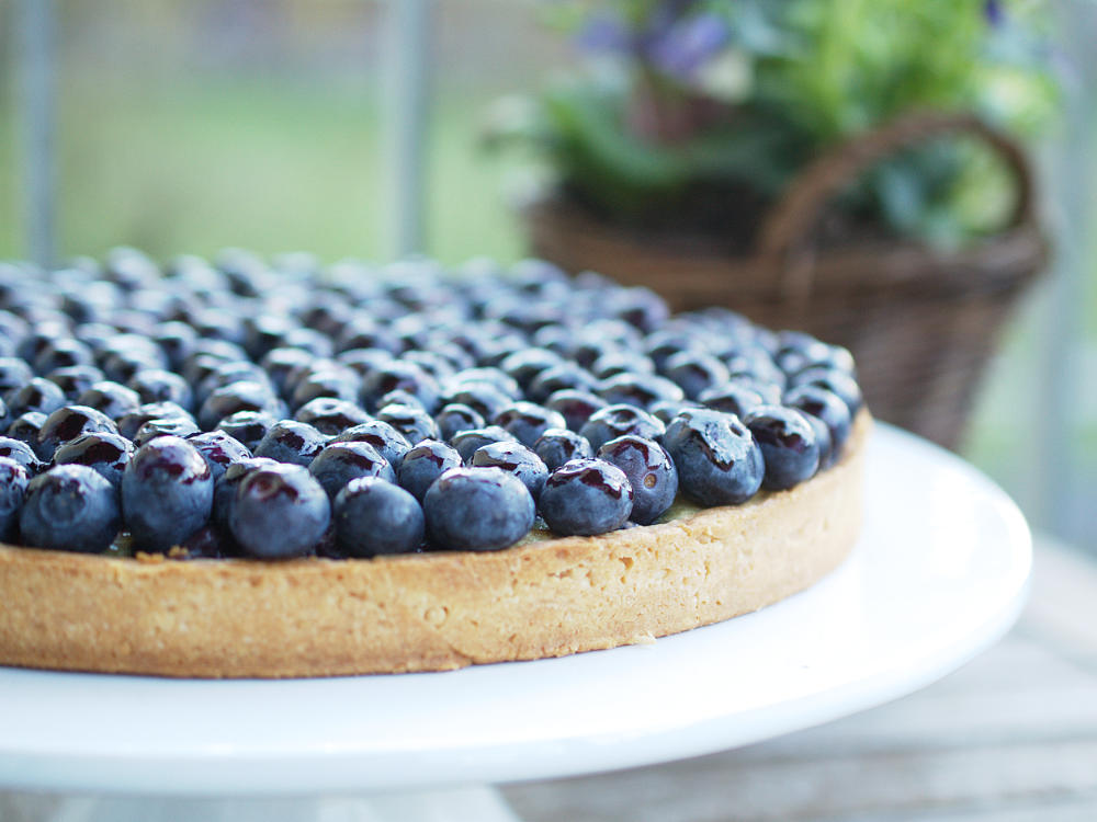 Blueberry Tart