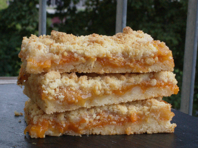 Apricot bars 3